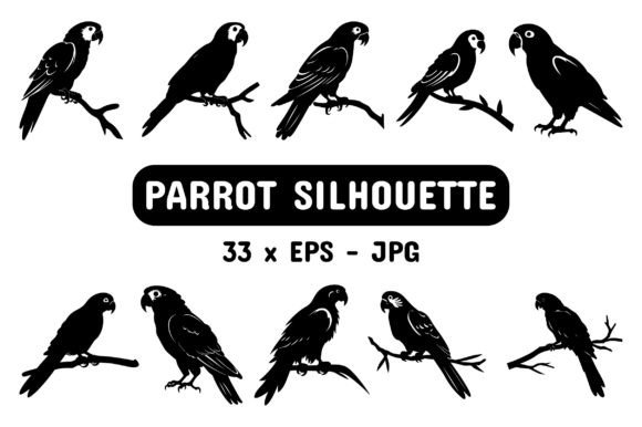 Download Parrot Silhouette Set Collection Bundle - Premium Resources