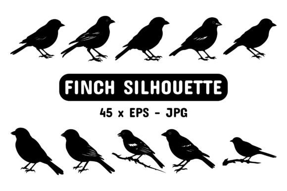 Download Finch Silhouette Set Collection Bundle - Premium Bundle