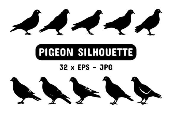 Download Pigeon Silhouette Set Collection Bundle - Premium Resources